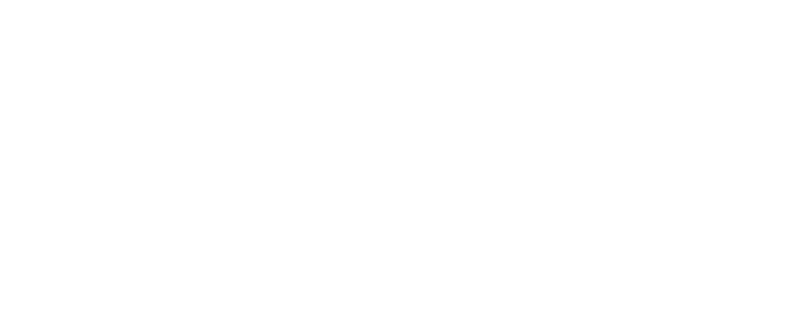 ValleySpark_Logo_horizontal_white