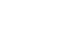 ValleySpark_Logo_horizontal_white